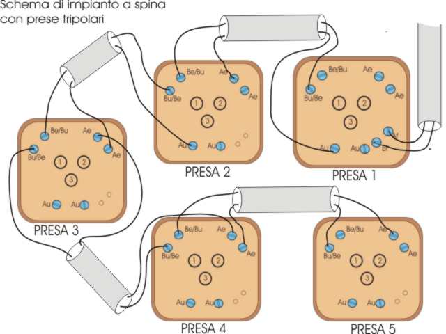 Impianto a spina